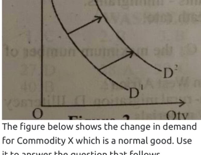 w economics 20
