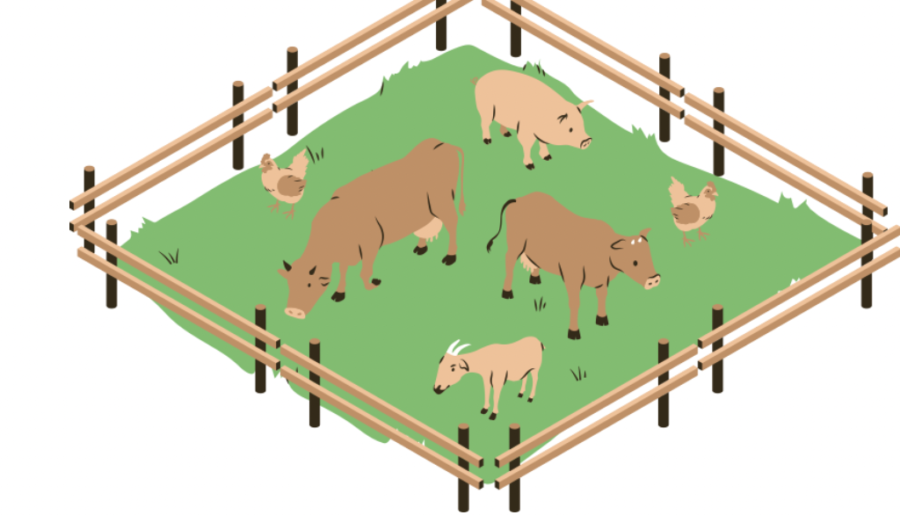 Animal husbandry waec