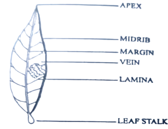 w Biology 23