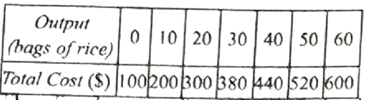 w economics 21