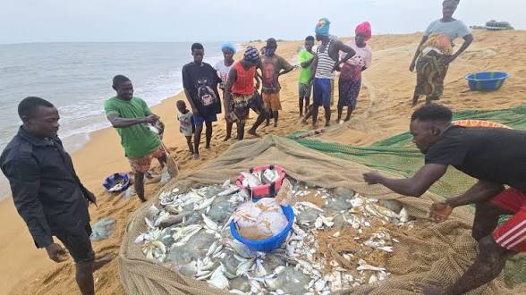 Chinese Trawlers Blamed by African Fishermen for Devastating Woes